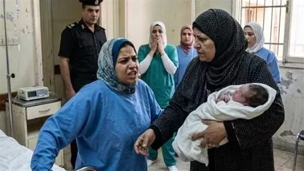 لمحة نيوز