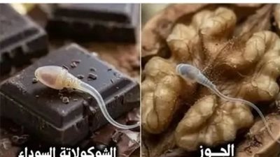 فوائد الجوز 