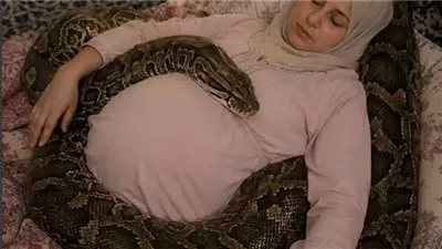 المرأة والافعي