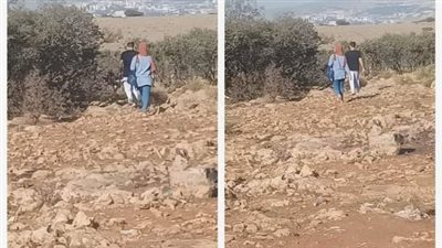 لمحة نيوز
