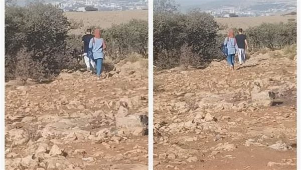 لمحة نيوز