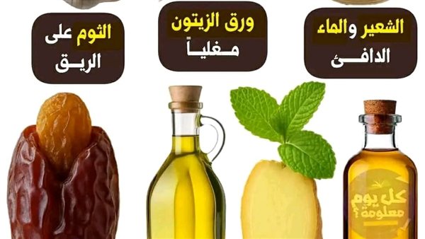 لمحة نيوز
