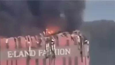 لمحة نيوز