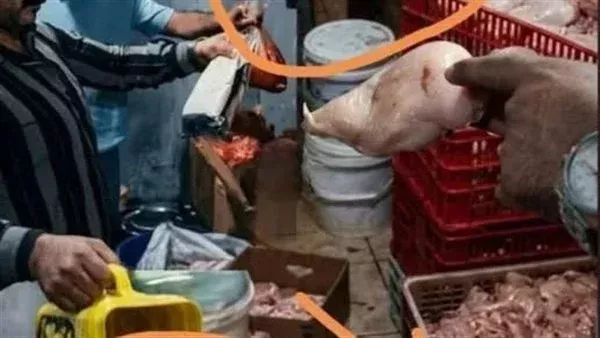 لمحة نيوز