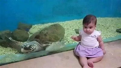سيده تقول بقلم مجهول