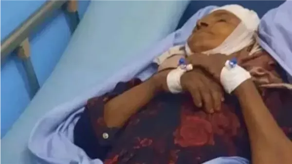 لمحة نيوز