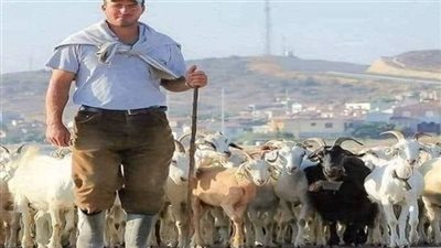 قصة راعي الغنم قال لها أريد أن أخطبك 