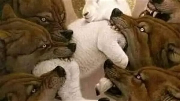 لمحة نيوز