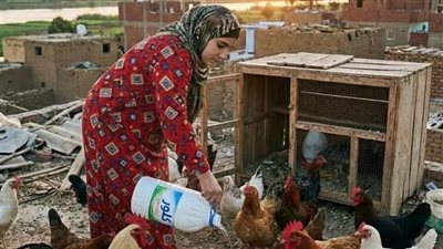 قصتي مع سلفتي